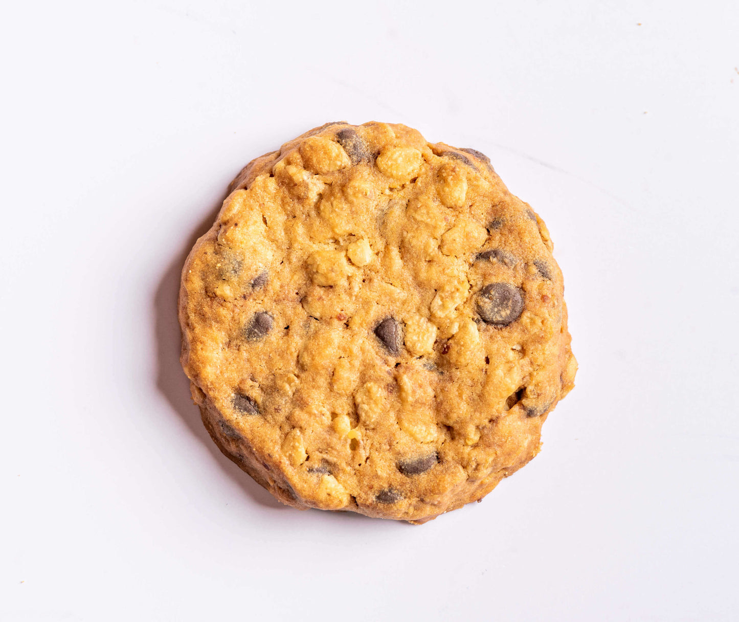 Organic Oatmeal Dark Chocolate Chip