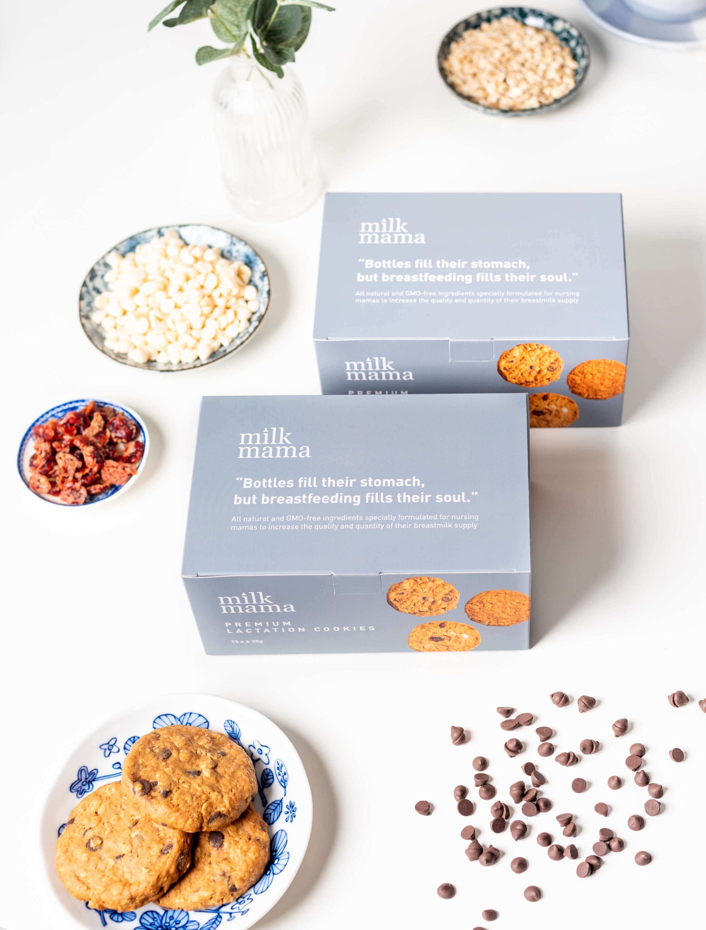 Organic Oatmeal Cranberry White Chocolate Chip